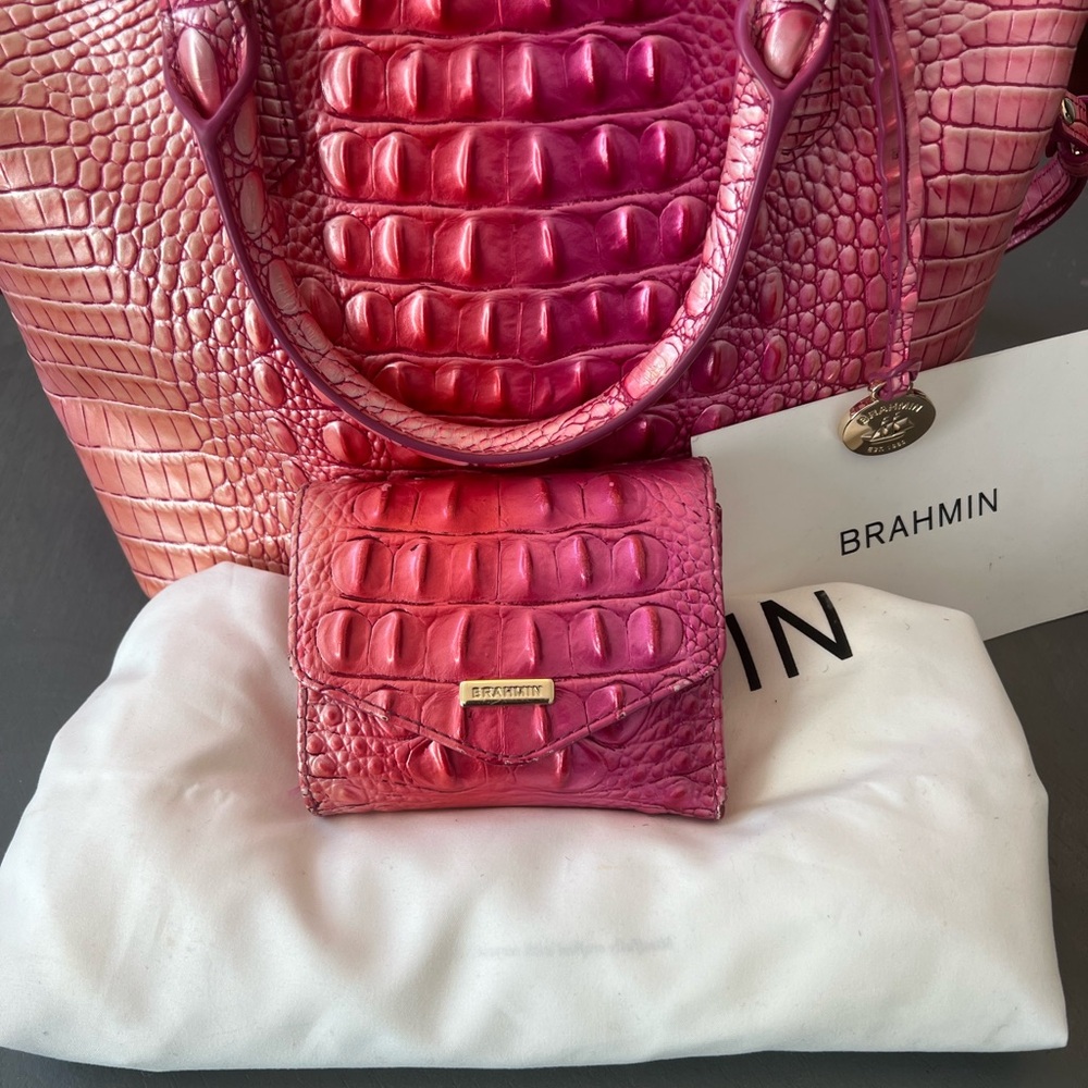 Brahmin Cupid Ombré Melbourne - Picture 13 of 16